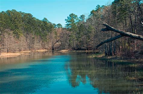 South toledo bend state park - Location: South Toledo Bend State Park Details: Address: 648 Bass Haven Resort Drive Anacoco, Louisiana, USA, 71403 Toll Free Phone: +1-888.398.4770 Driving Directions: 120 Bald Eagle Road Notes: for GPS and navigational units use Bass Haven Resort Drive Water Available: potable and rinse water (non-potable) available Season / Operational: Open …